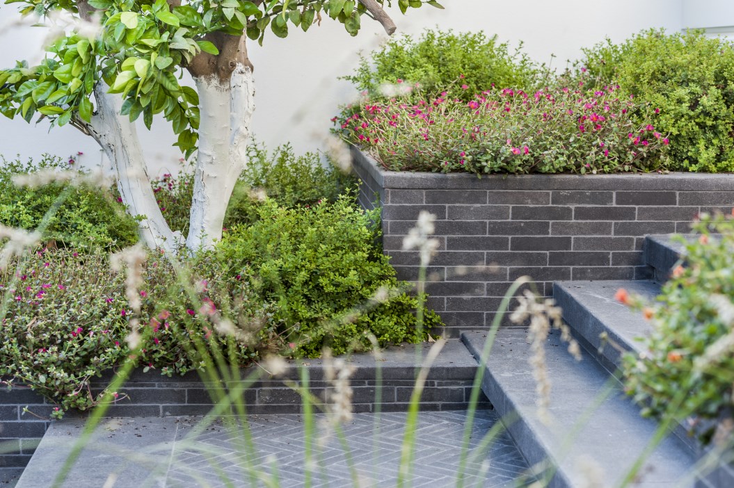 בית בהרצליה פיתוח, אדריכלית שירלי דן