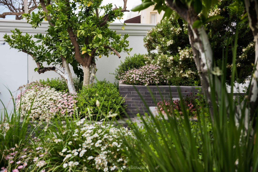 בית בהרצליה פיתוח, אדריכלית שירלי דן