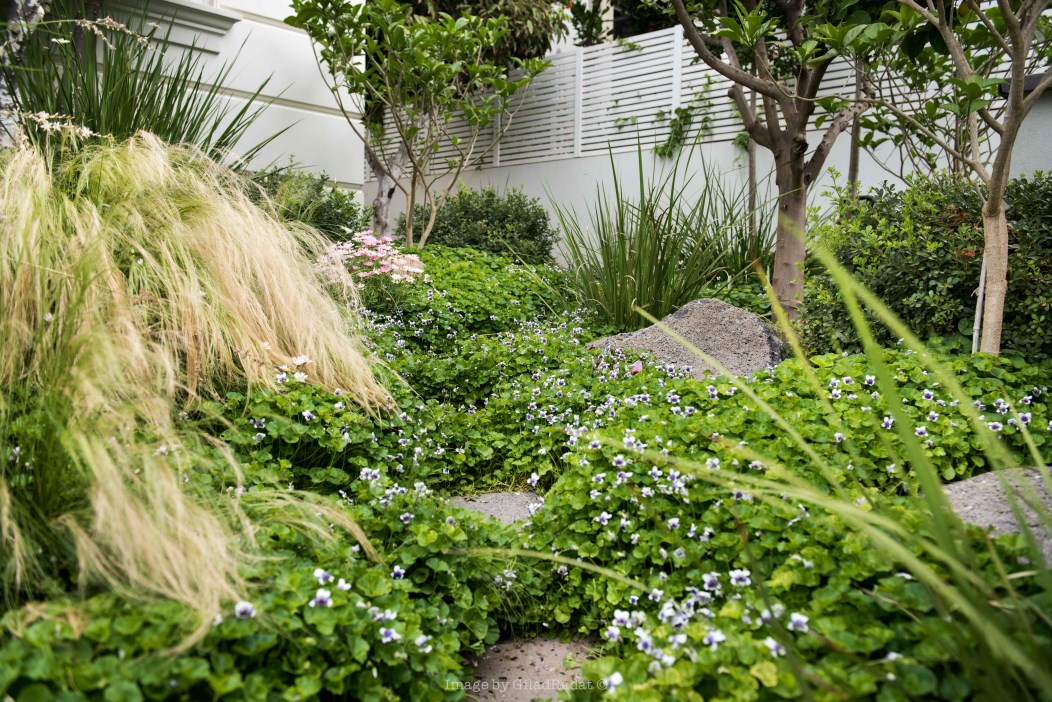 בית בהרצליה פיתוח, אדריכלית שירלי דן