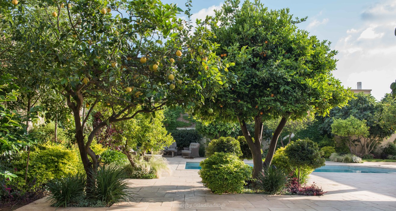 בית באבן יהודה