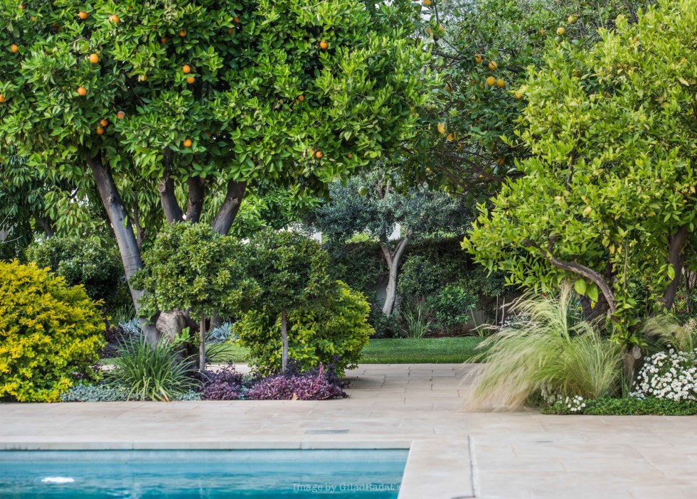 בית באבן יהודה